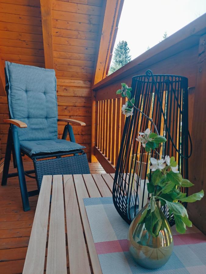 Ferienhaus Birkholz Harz イルセンブルク エクステリア 写真
